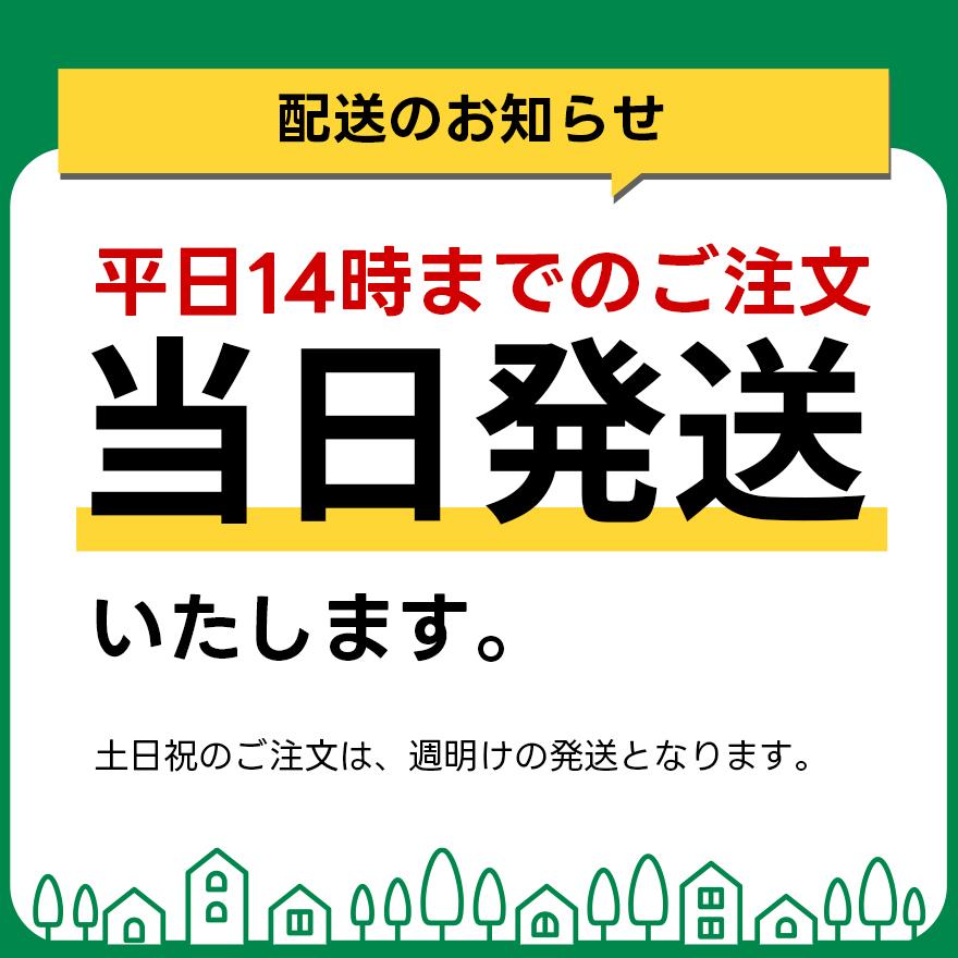 中性 サビが取れる ジェル 160g サビ取り 錆び取り 錆取り 錆取り剤 業務用 プロ仕様 キッチン 浴室 排水溝 包丁 工具 車 バイク 自転車 |  | 14