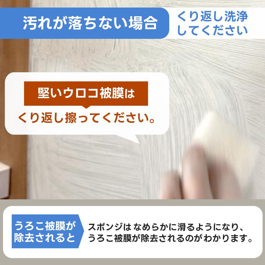 送料無料 うろこが取れる うろこの軟化剤 掃除 ウロコ 洗剤 汚れ落とし コーティング 洗車 水垢 ガラス ウォータースポット | うろこが取れる | 17