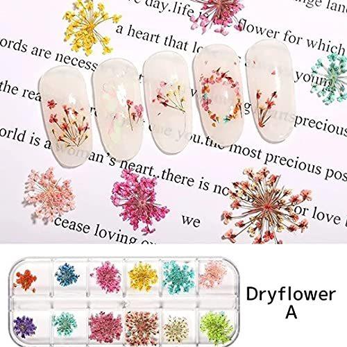 交換無料 ジェルネイル Nail Riche ネイルリシェ ネイルアート レジン用 上品 押し花 ドライフラワー レースフラワー 3ケースセット ピンセット付き Nail Riche ネイルリシェ Www Threeriversofs Com