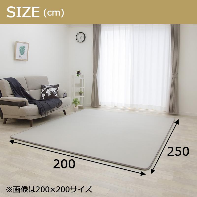 ラグ 低反発 極厚25mm 200×250cm 厚手 滑り止め ラグマット カーペット