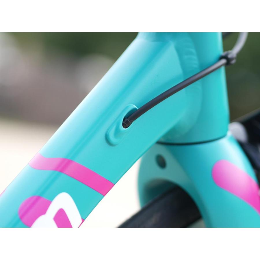 コーダーブルーム ファーナ ティアグラ FARNA DISC TIAGRA - KhodaaBloom