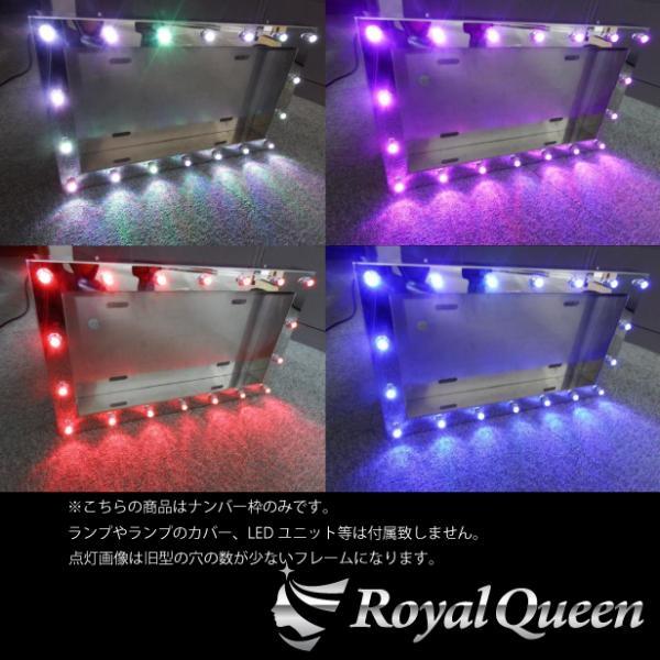 大型車用 パイロットランプ ナンバーフレーム ウロコ柄