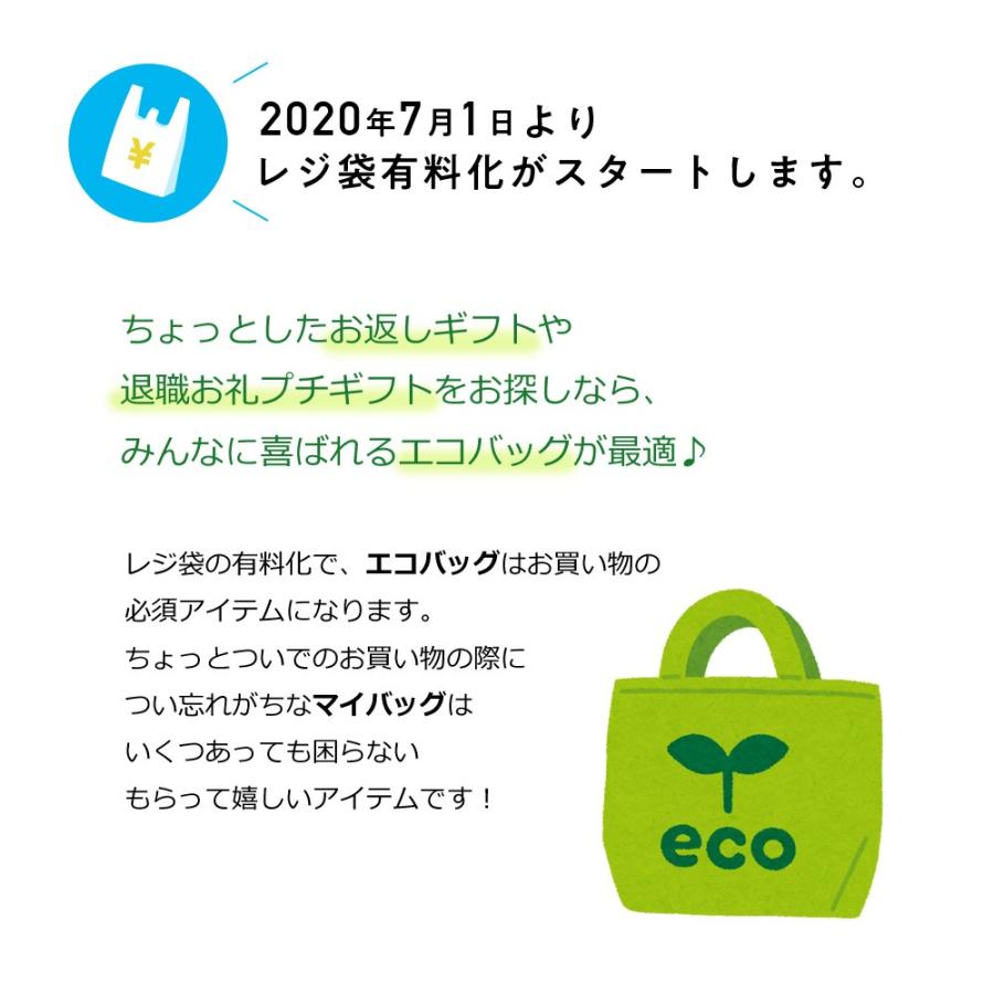 フルーツおまかせエコバッグ 退職 お礼 プチギフト ナイロン折り畳みエコトート ギフト用に可愛くラッピングできます 転勤 異動 職場 お返し ギフト F Ec01 Cs Select シーズセレクト 通販 Yahoo ショッピング
