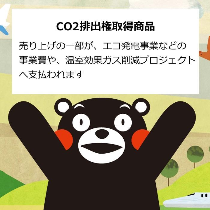 【送料無料 5枚セット】くまコレ5柄コンプリートセット くまモン コンビニエコバッグ クリックポストで発送 5柄×各1枚 ギフト用ラッピングバッグ付き |  | 04