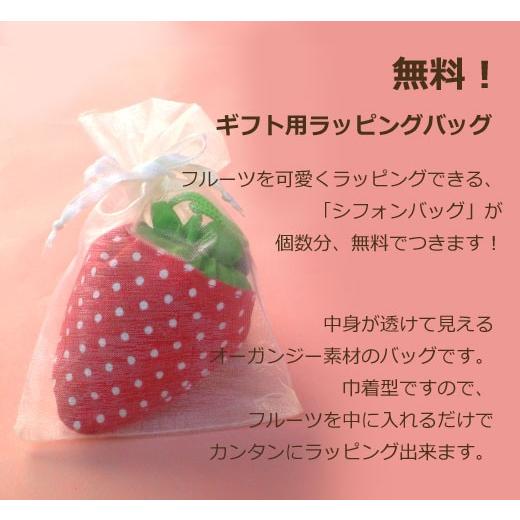 【送料無料】20個セット フルーツおまかせエコバッグ A4ナイロン折り畳みエコトート ギフト用ラッピンググッズ無料 退職 転勤 お礼 お返しギフト（20個セット） |  | 05