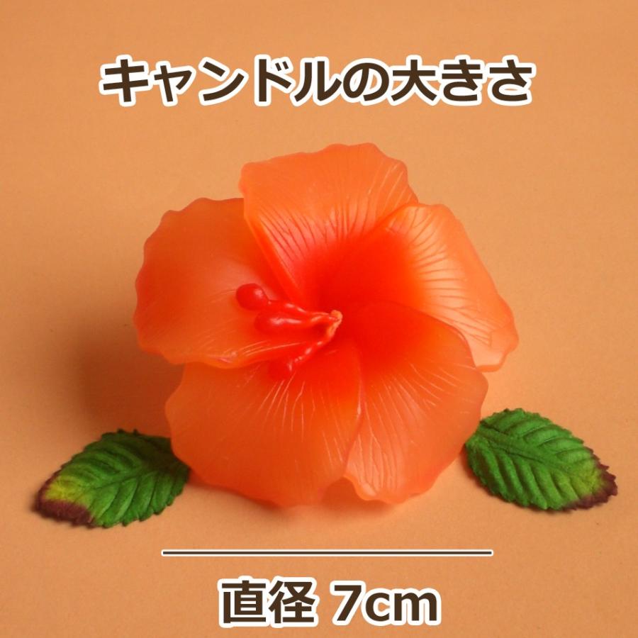 ハイビスカス フローティングキャンドル アソート 12個入り 水に浮かぶ 香りつきアロマキャンドル |  | 04