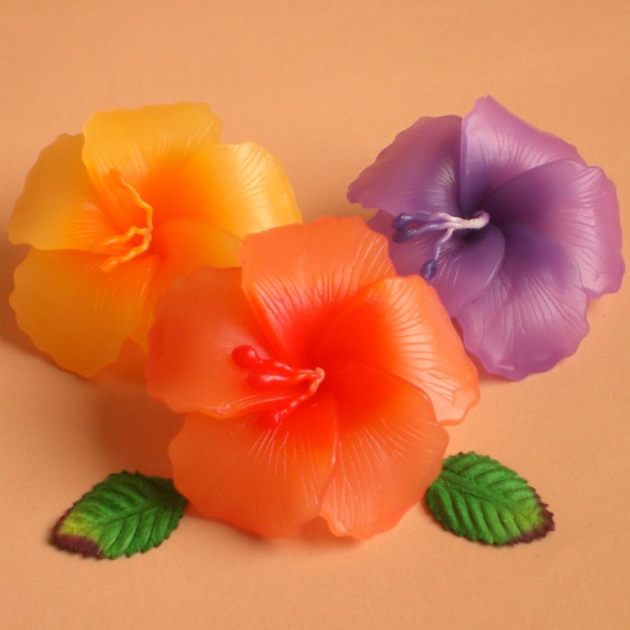 ハイビスカス フローティングキャンドル アソート 12個入り 水に浮かぶ 香りつきアロマキャンドル |  | 06