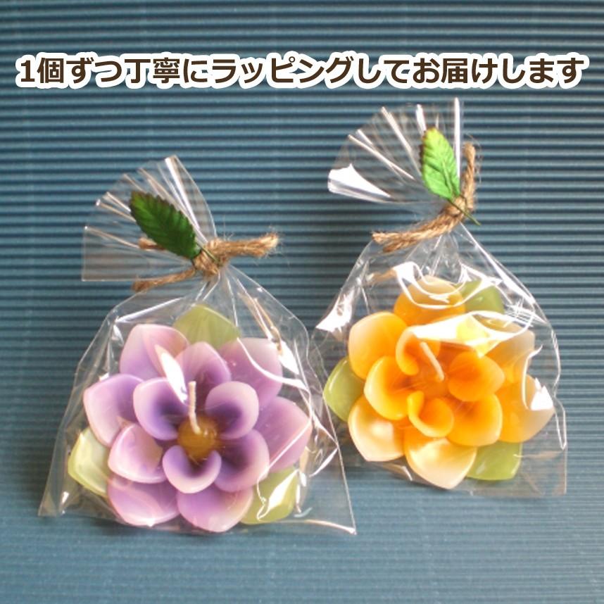 ロータス（蓮）フローティングキャンドル アソート 12個入り 水に浮かぶ 香りつきアロマキャンドル |  | 02