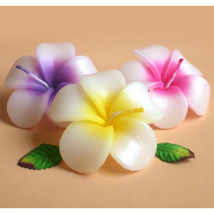 プルメリア フローティングキャンドル アソート 12個入り 水に浮かぶ 香りつきアロマキャンドル ハワイアン南国リゾート |  | 01