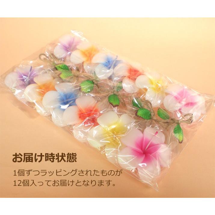 プルメリア フローティングキャンドル アソート 12個入り 水に浮かぶ 香りつきアロマキャンドル ハワイアン南国リゾート |  | 03