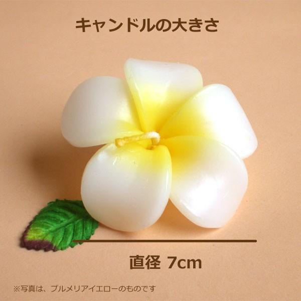 プルメリア フローティングキャンドル アソート 12個入り 水に浮かぶ 香りつきアロマキャンドル ハワイアン南国リゾート |  | 04
