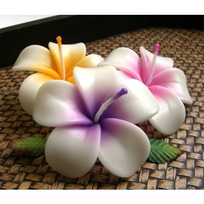 プルメリア フローティングキャンドル アソート 12個入り 水に浮かぶ 香りつきアロマキャンドル ハワイアン南国リゾート |  | 06