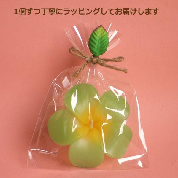 プルメリアクリアアソート フローティングキャンドル 12個入り 水に浮かぶキャンドル ハワイアン南国リゾート |  | 02