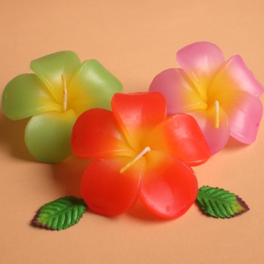 プルメリアクリアアソート フローティングキャンドル 12個入り 水に浮かぶキャンドル ハワイアン南国リゾート |  | 06