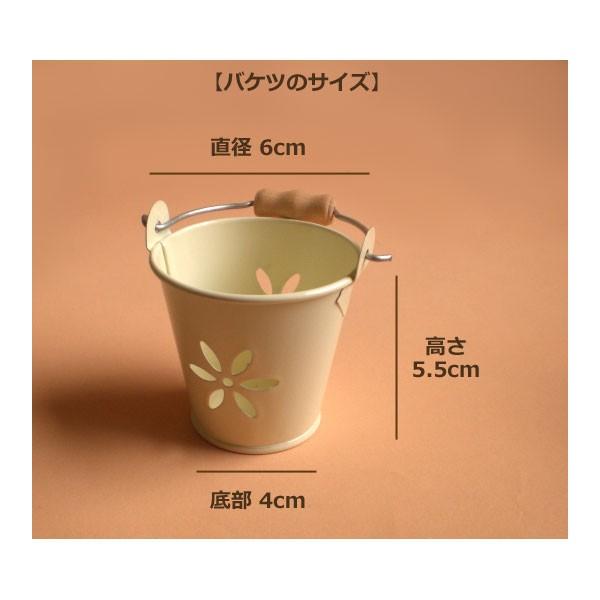 おまかせブリキのミニバケツ / 無料ラッピンググッズ 退職お礼お返しプチギフトにおしゃれなインテリア収納グッズ |  | 05