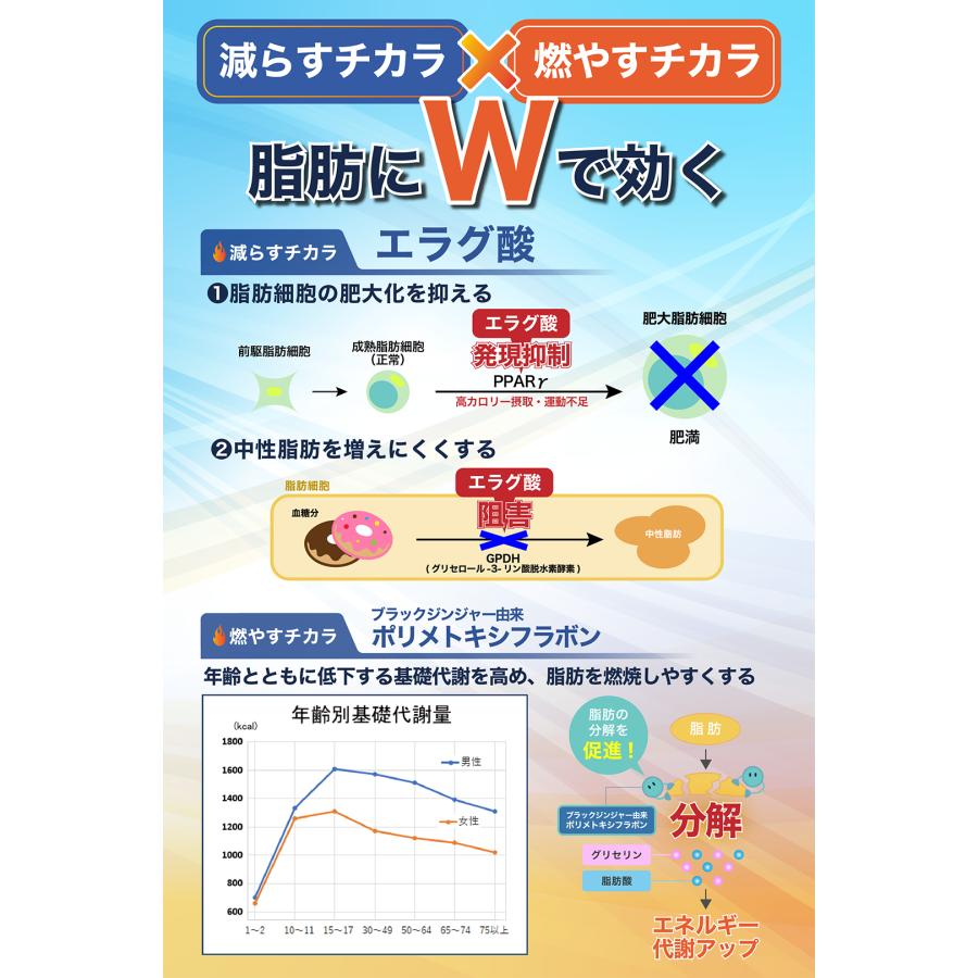 BURN MODE エラグ酸 サプリ ダイエット 脂肪燃焼 お腹 ブラックジンジャー ポリメトキシフラボン 機能性表示食品 |  | 03
