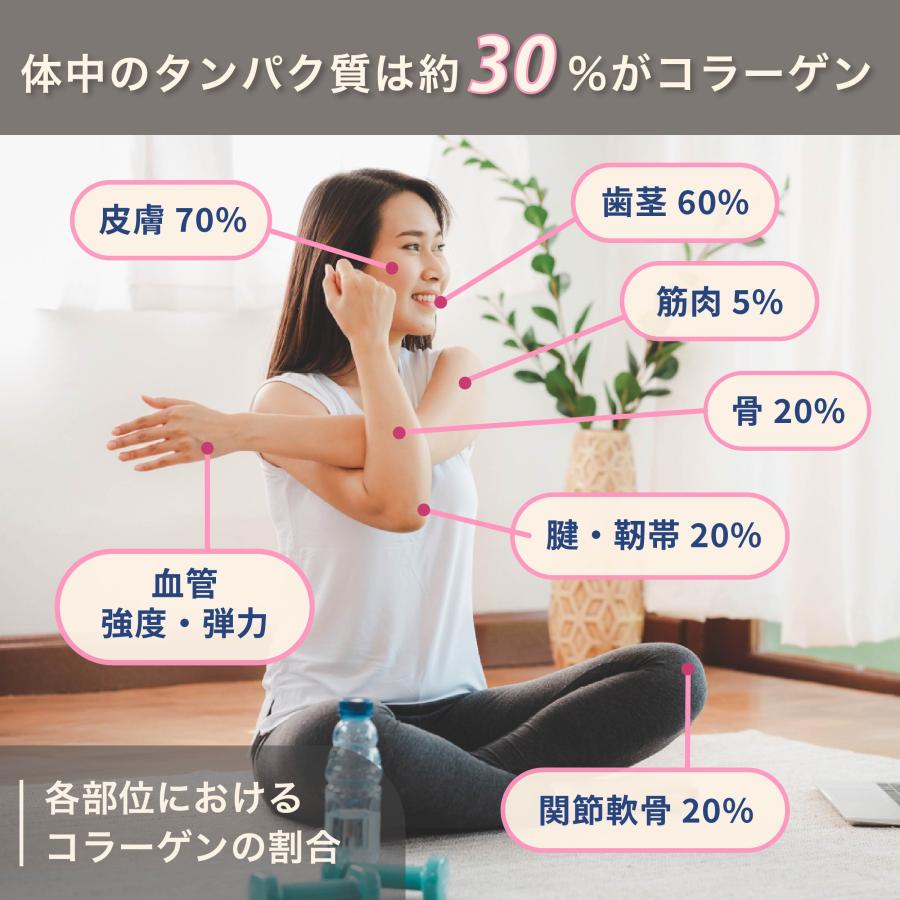 コラーゲン フィッシュ 150000mg パウダー サプリ 粉末 COLPE 天然海洋魚鱗 コラーゲンパウダー コラーゲンペプチド 女性 髪 |  | 04