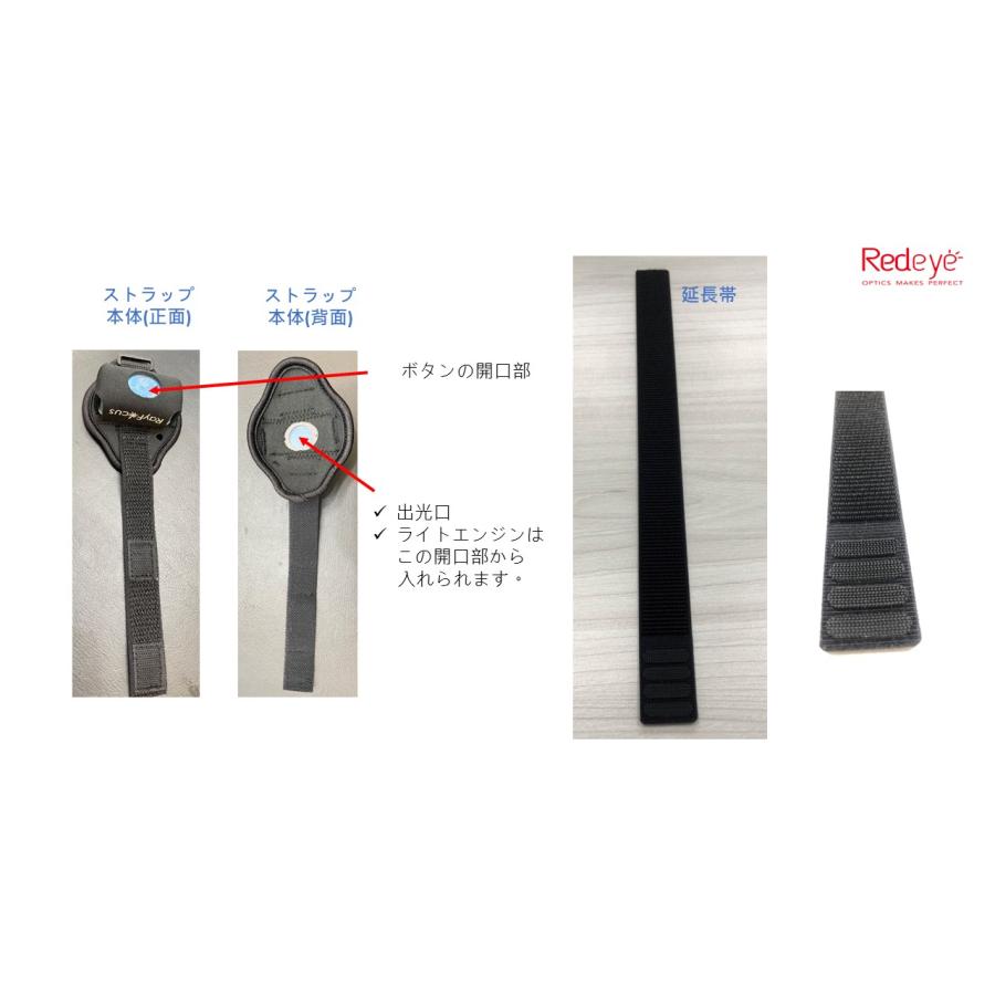 ペット用赤外光照射装置 Ray FocusPet レイフォーカス ペット LLLT |  | 11