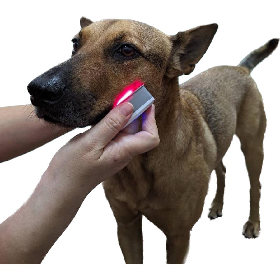 ペット用赤外光照射装置 Ray FocusPet レイフォーカス ペット LLLT |  | 03