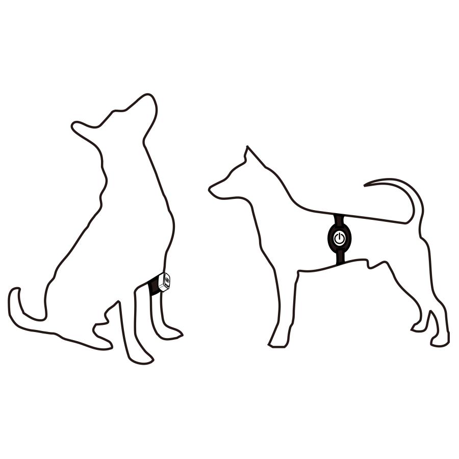 ペット用赤外光照射装置 Ray FocusPet レイフォーカス ペット LLLT |  | 04