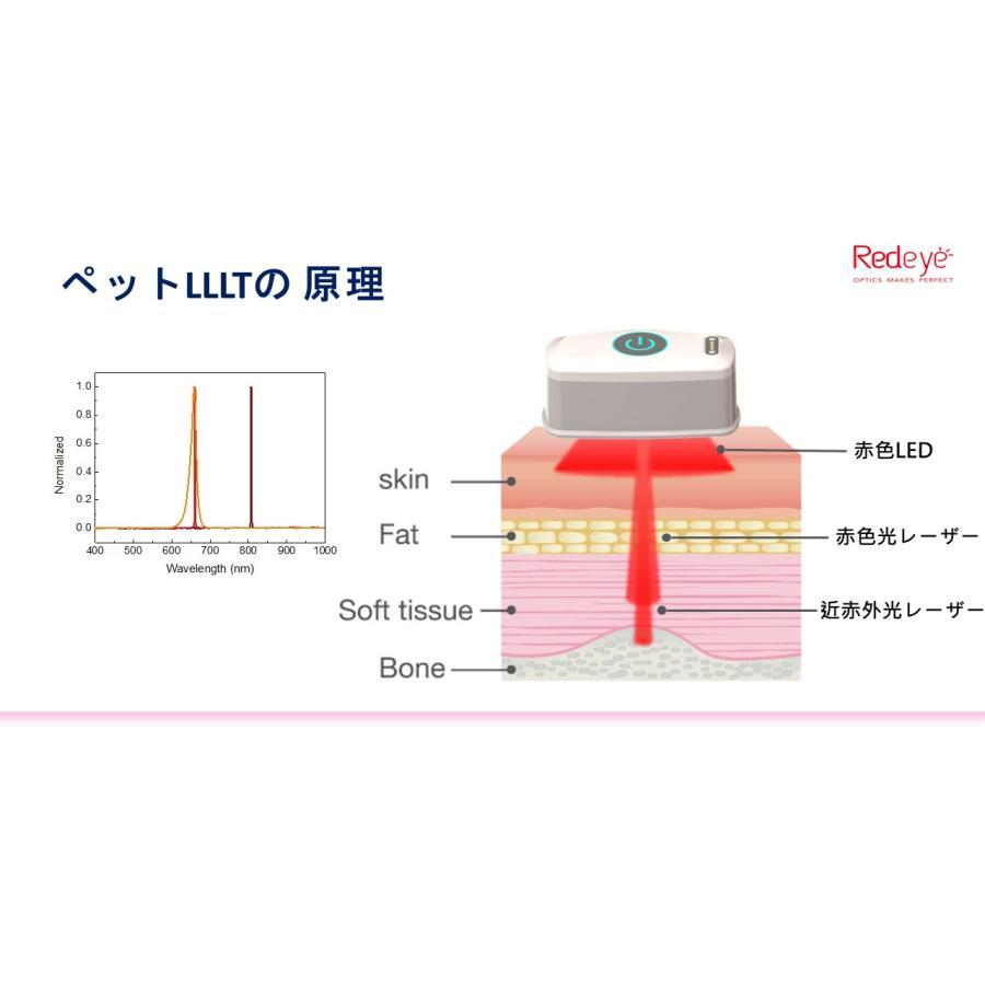 ペット用赤外光照射装置 Ray FocusPet レイフォーカス ペット LLLT |  | 08