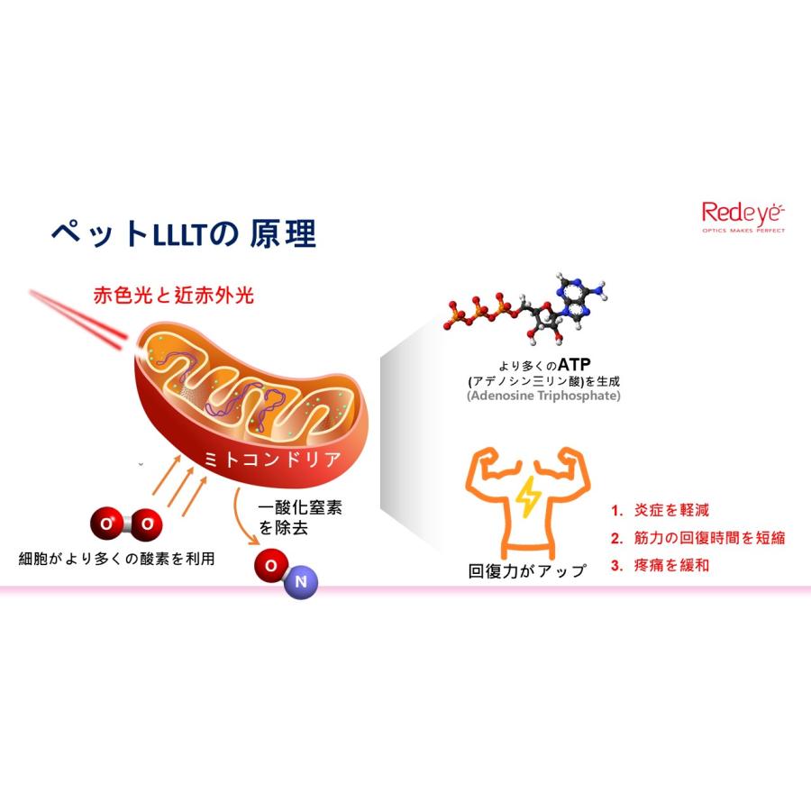 ペット用赤外光照射装置 Ray FocusPet レイフォーカス ペット LLLT |  | 09
