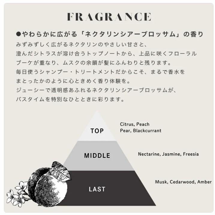 Deep Layer（ディープレイヤー） トリートメントExV 470g : Cosme Toy