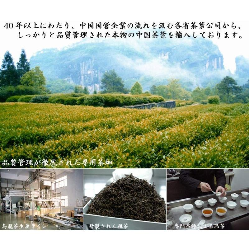 プーアール茶 300g 業務用ケース 24袋入 紅灯牌オリジナルの画像