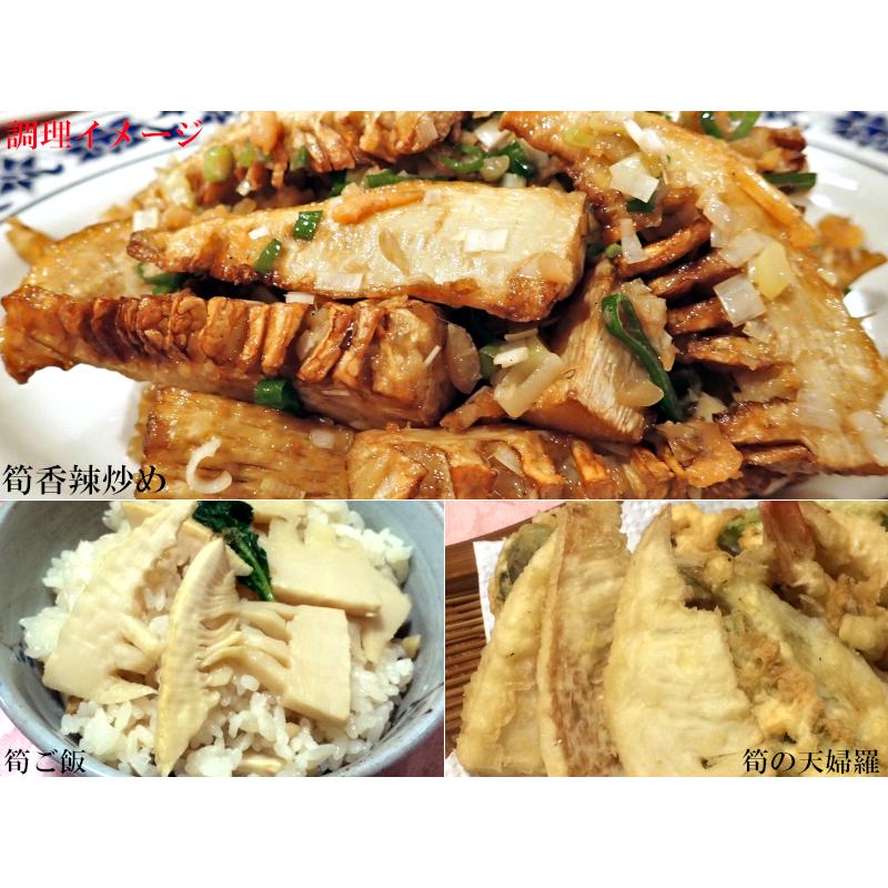 たけのこ 冬筍 とんすん SSサイズ 水煮缶 業務用1号缶 : 中国