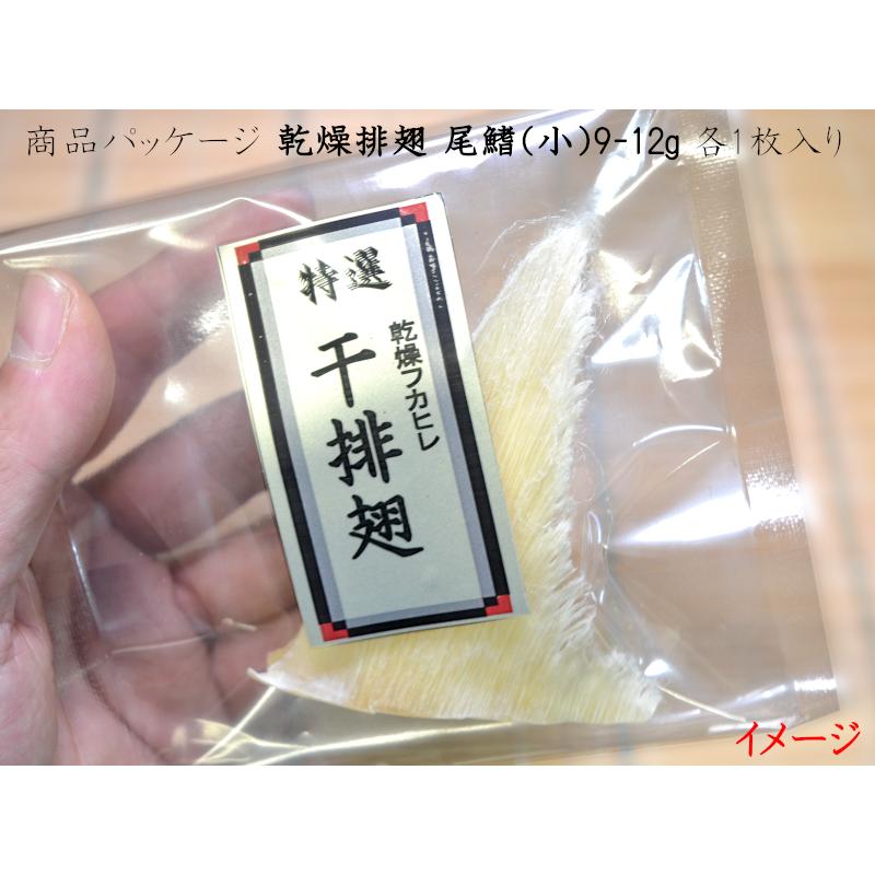 フカヒレ 乾燥排翅 尾鰭（小）12g 1枚入｜ctcols｜03