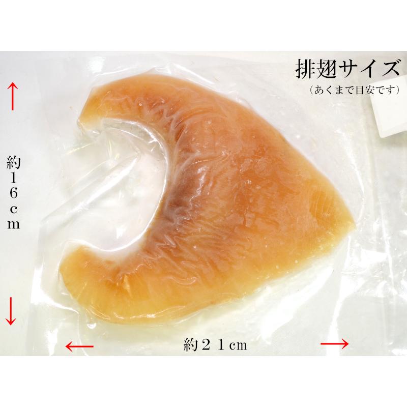 フカヒレ ヨシキリザメ尾びれ 大（260gUp） 冷凍 業務用排翅 1枚