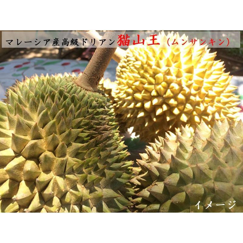 ドリアン 榴蓮 猫山王 マレーシア産 200gパック×3箱セット ドリアン