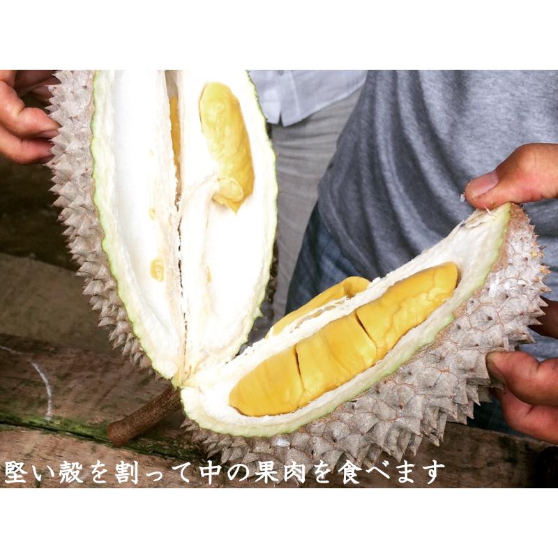 ドリアン 榴蓮 雷神（D24） マレーシア産 冷凍200g×10パック ドリアン