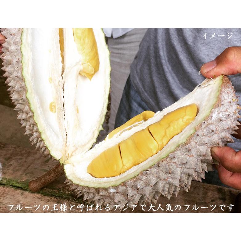 ドリアン 猫山王 榴蓮 durian マレーシア産 生L玉(予約販売) :181dwl:ctcオンラインショップ - 通販 - ドリアン 猫山王 榴蓮 durian マレーシア産 生L玉(予約販売) :181dwl:ctcオンラインショップ - 通販 -