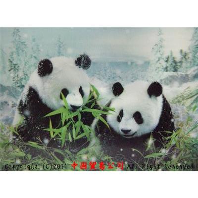 パンダ飛び出す3d絵 パンダグッズ 239e908 Ctcオンラインショップ 通販 Yahoo ショッピング