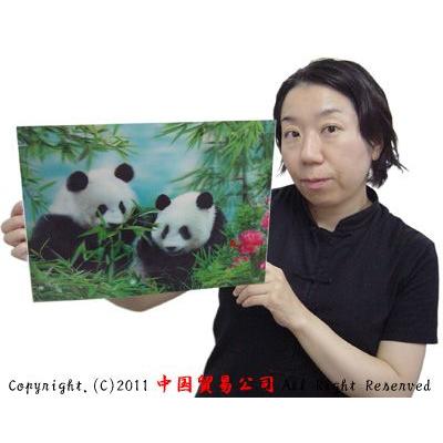 パンダ飛び出す3D絵（パンダグッズ） : 中国貿易公司ctcオンライン