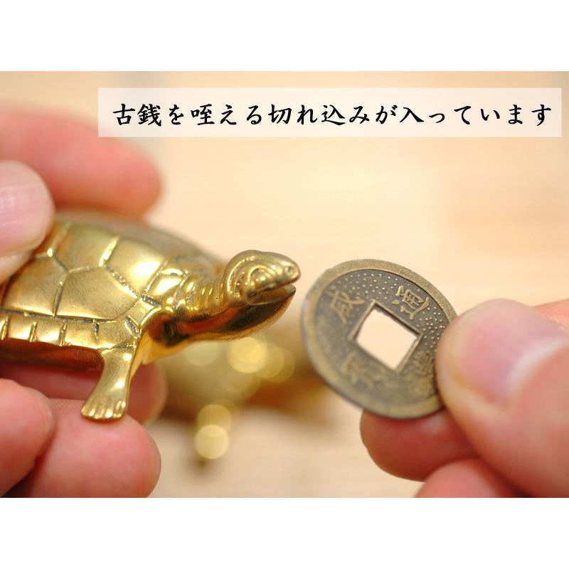 招財 可愛い金の亀の置物（古銭付） 風水グッズ : 中国貿易公司ctc
