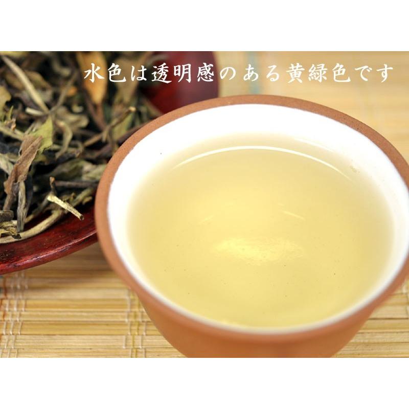 白牡丹茶餅 白茶 バイムータン ホワイトティー :cahbinhaku:中国貿易公司ctcオンラインショップ 通販 