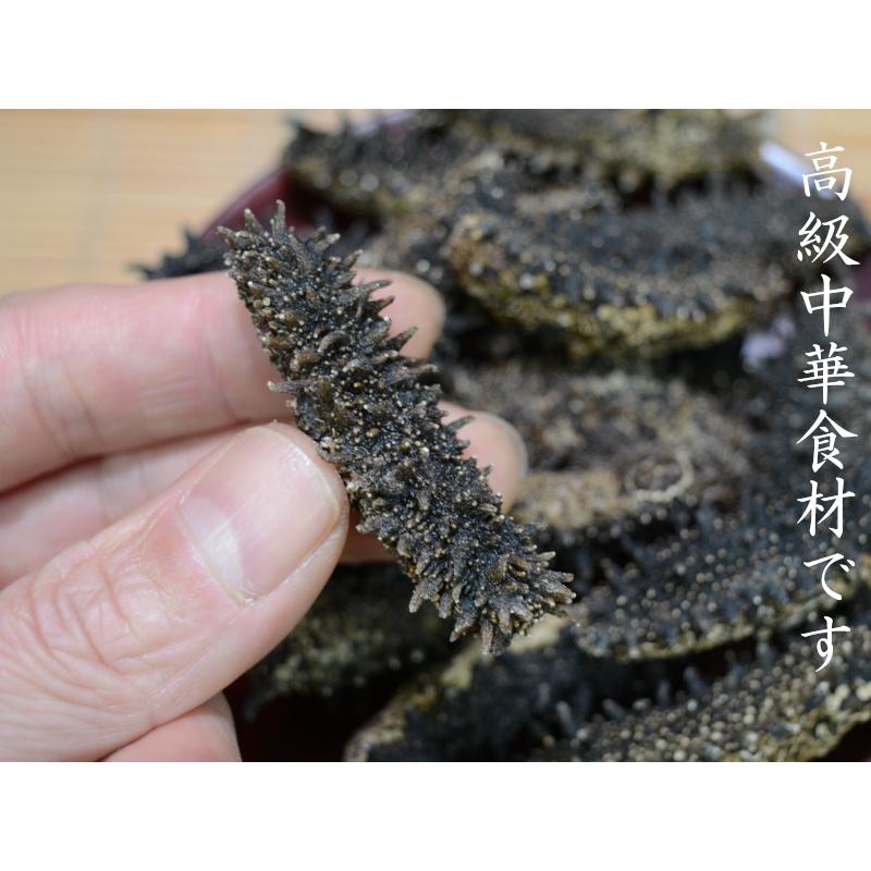 ナマコ 乾燥 海参 刺参 約50g（8~9本入り） 北海道産 高級中華料理