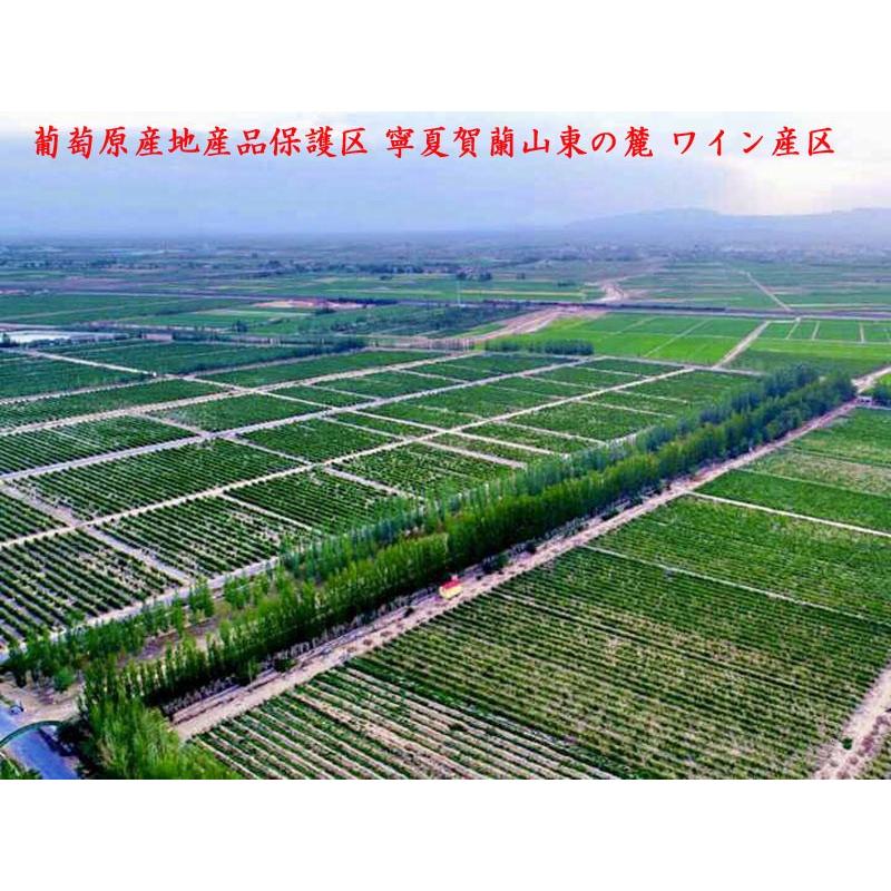 中国ワイン6本セット バッカーナ/イーゾン : 中国貿易公司ctc