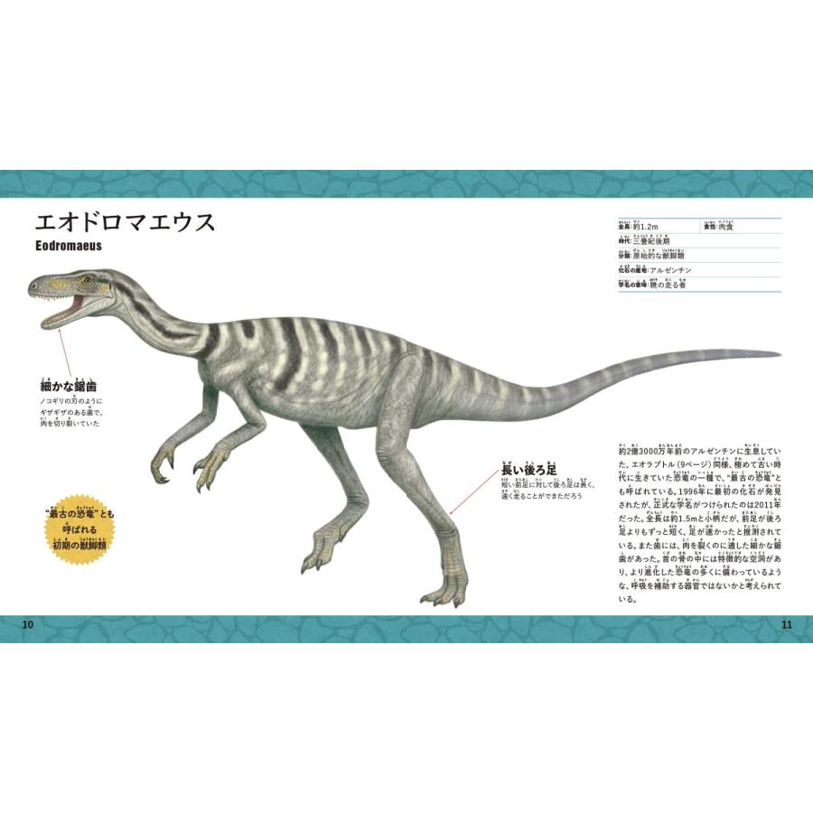 新品 本格イラスト事典 恐竜 特徴がひと目でわかる 定価2 000円 1 趣味実用専門書キューブブック 通販 Yahoo ショッピング