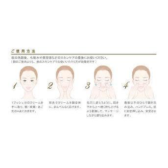 プレジストV fixアメージング クリーム 50g 【PRESIST V FIX AMAZING  