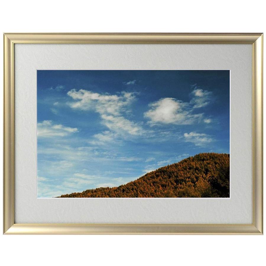 【入荷極小！新作】ポイント10倍 奇跡の写真 秋元 隆良 「飛龍」 話題の開運フォト