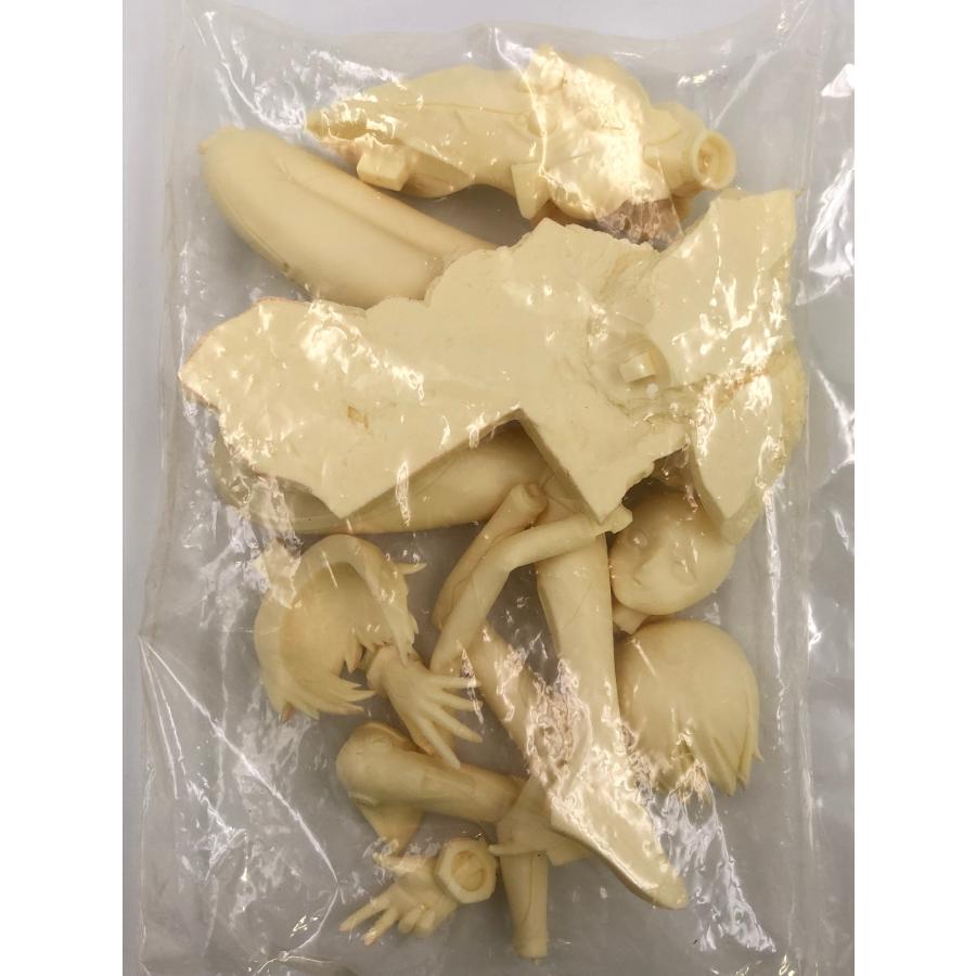 ♪) 新世紀エヴァンゲリオン 綾波レイ 造形発動補完計画 1/6 レジン