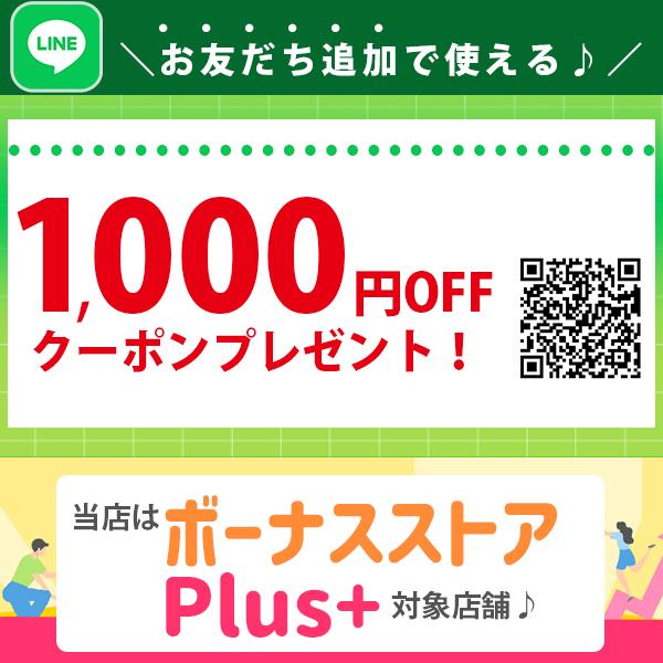 乾燥 マツタケ マシュル カナダ産 松茸 20g まつたけ ドライマッシュルーム 乾燥きのこ お吸い物 松茸ご飯 おしゃれ｜cubic-square｜02