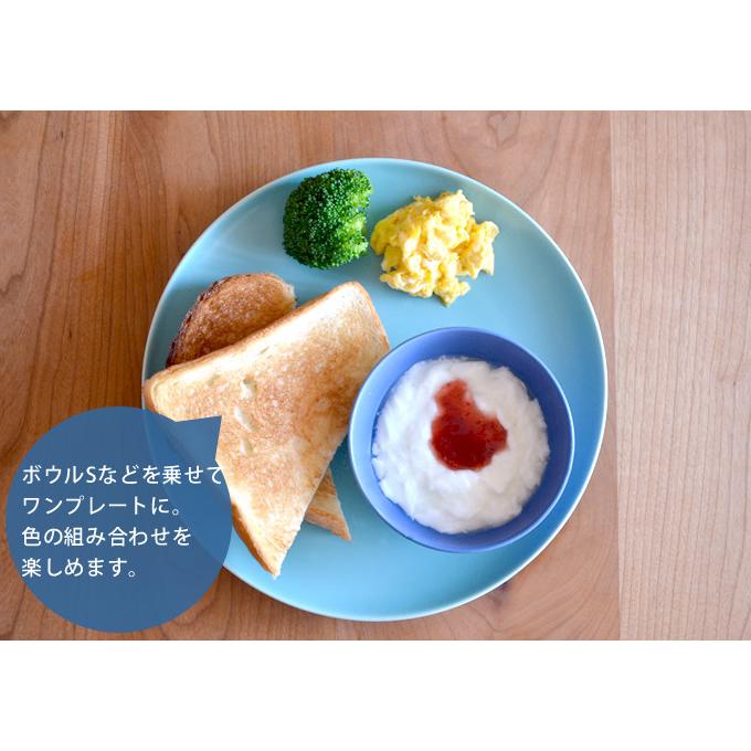 在庫限り ワンプレート皿 食器 皿 パスタ皿 北欧 食洗機対応 電子
