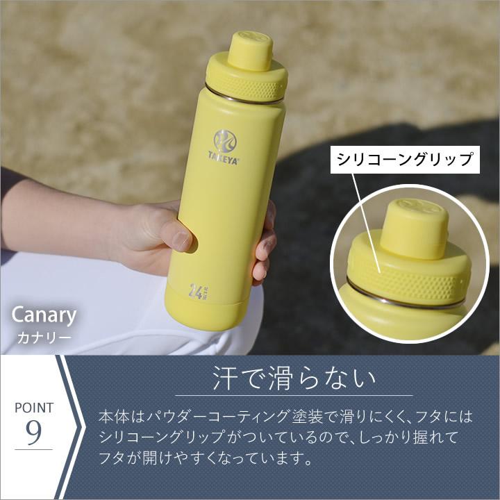 TAKEYA FLASK 特典付き 水筒 スポーツドリンク対応 700ml 子供