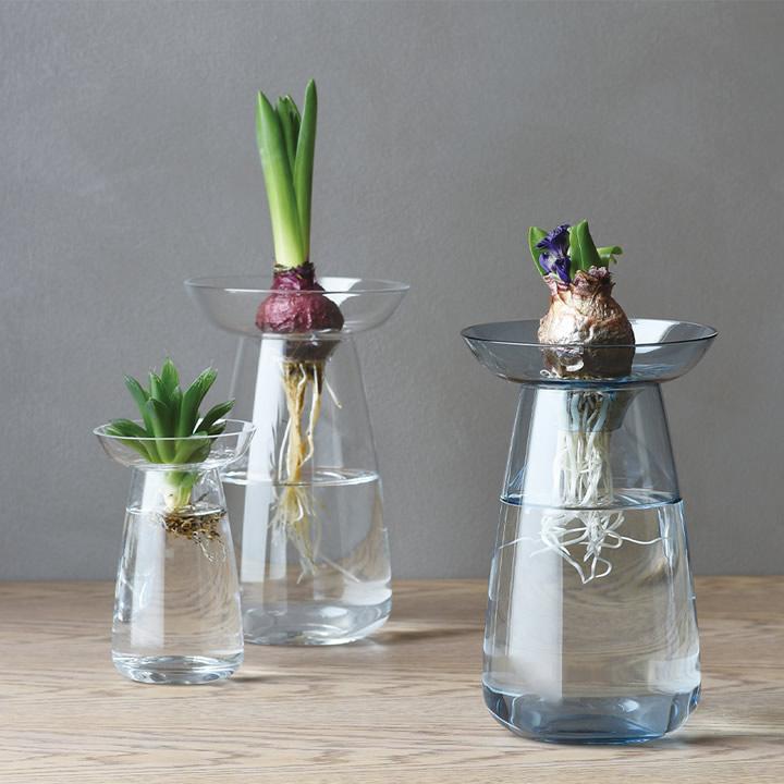 花瓶 ガラス アクアカルチャーベース AQUA CULTURE VASE Sサイズ 花瓶 ガラス アクアカルチャーベース AQUA CULTURE VASE Sサイズ