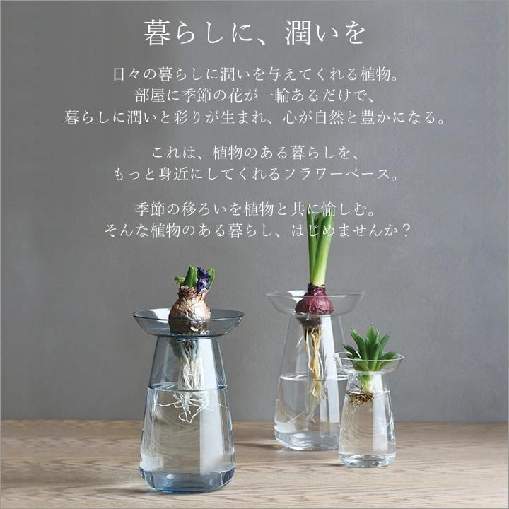 花瓶 ガラス アクアカルチャーベース AQUA CULTURE VASE Sサイズ 花瓶 ガラス アクアカルチャーベース AQUA CULTURE VASE Sサイズ