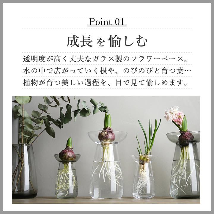 球根 水栽培 アクアカルチャーベース Aqua Culture Vase Lサイズ 1mm Kinto キントー 花瓶 ガラス フラワーベース ヒヤシンス おしゃれ ギフト クッチーナ E6171 3158 キッチン雑貨 インテリア Cucina 通販 Yahoo ショッピング